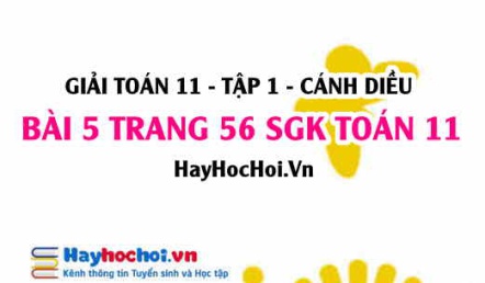 Giải bài 5 trang 56 Toán 11 tập 1 SGK Cánh Diều